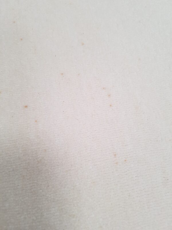 Westex Pure Luxury Velvet Opulence Ermine 5m x 25.8m