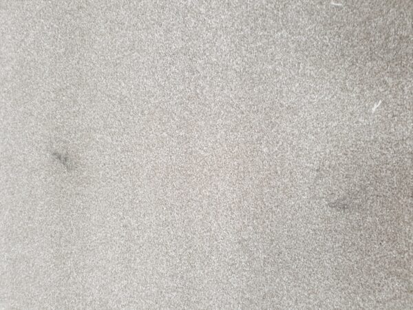 Primo Naturals Bankside Beige 4m x 2.99m