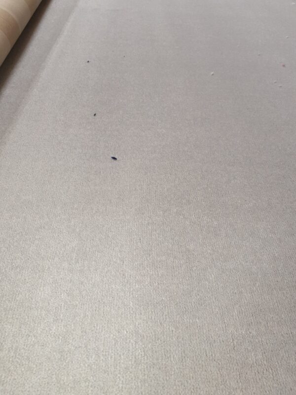 Westex Westend Velvet Prestige Pebble 5m x 1.70m