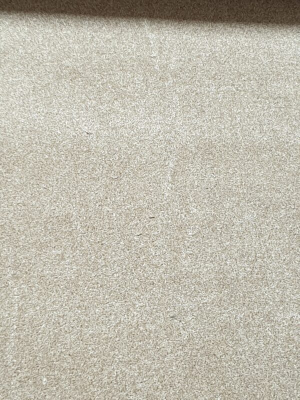 Primo Naturals Wild Honey 5m x 7.65m