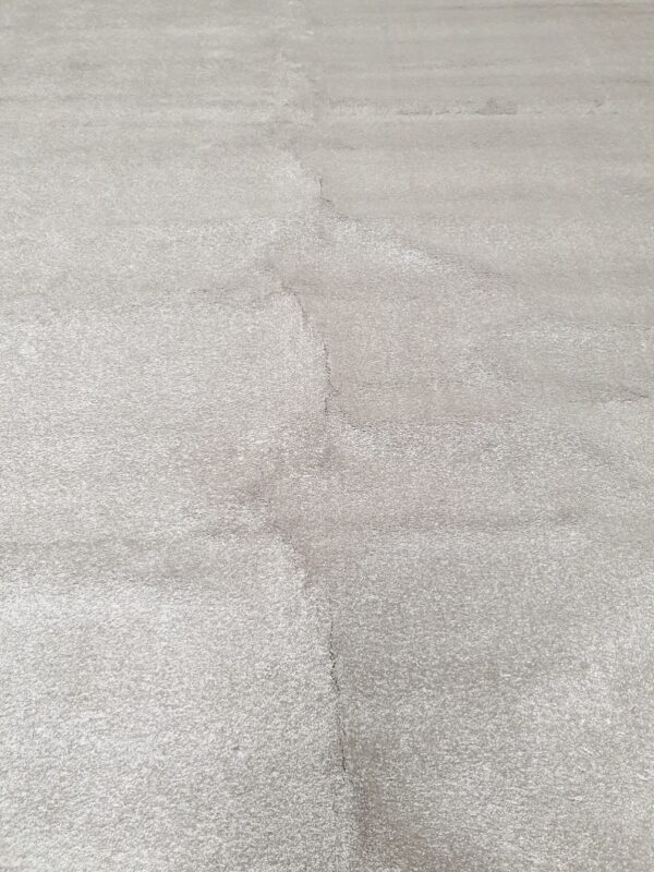 Soft Focus Aniseed 4m x 4.3m