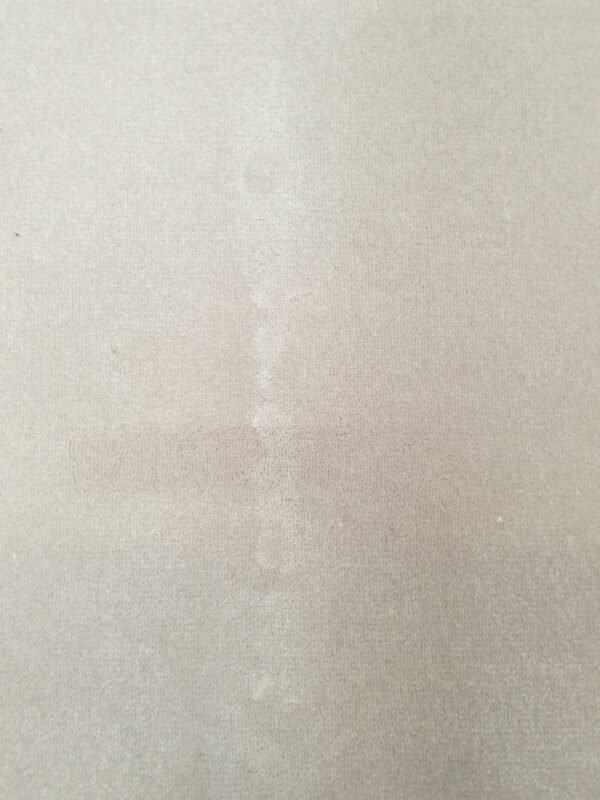 Westex Pure Luxury Velvet Opulence Latte 4m x 3.25m
