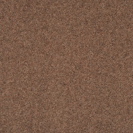 Riverside Revivals Ettrick 3.8m x 7.3m