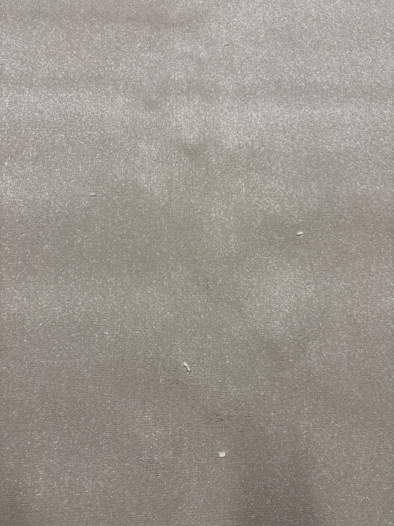 Westex Elysian Velvet Divine Meadow Mist 5m x 8.3m - Image 2