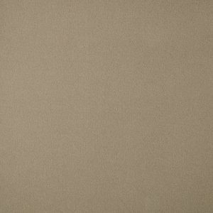 Westex Fine Twist Bransford Biscuit 4.8m x 3.05m