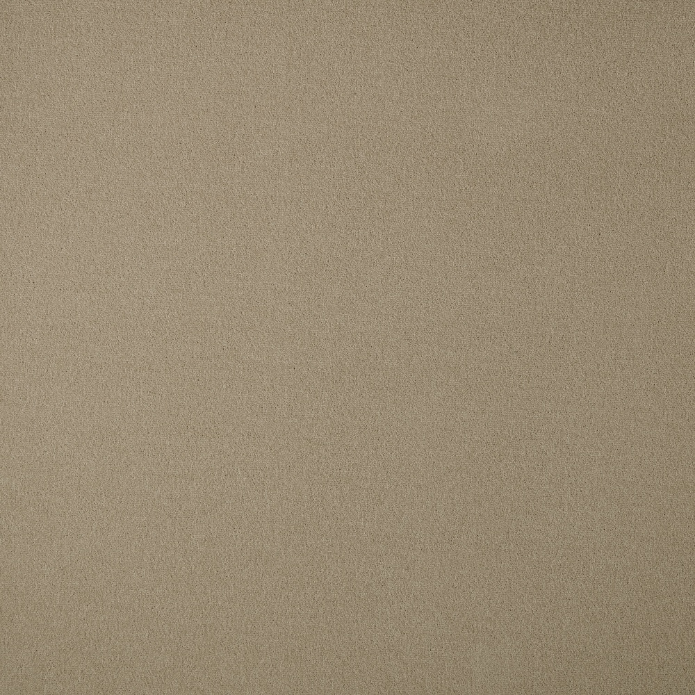 Westex Fine Twist Bransford Biscuit 4.8m x 3.05m