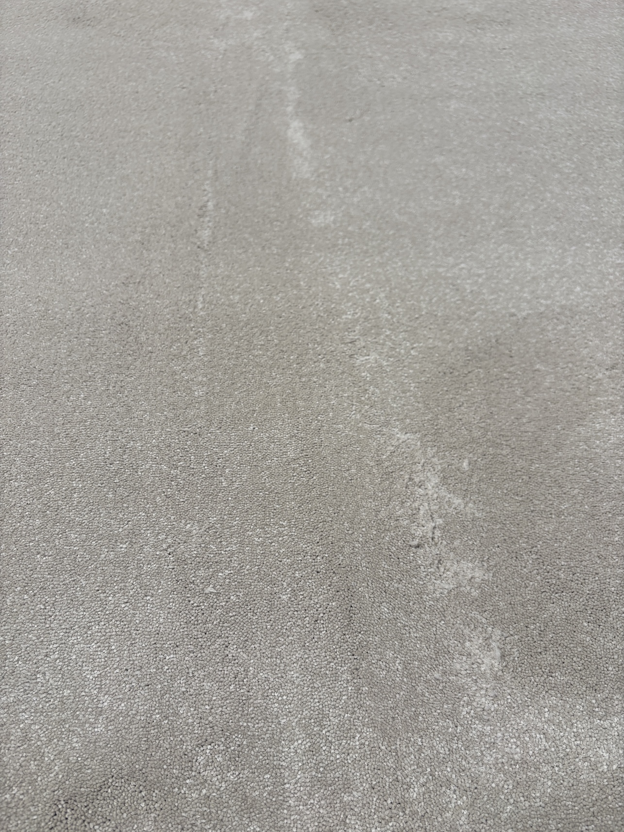Westex Elysian Velvet Divine Travertine 5m x 3.55m - Image 3
