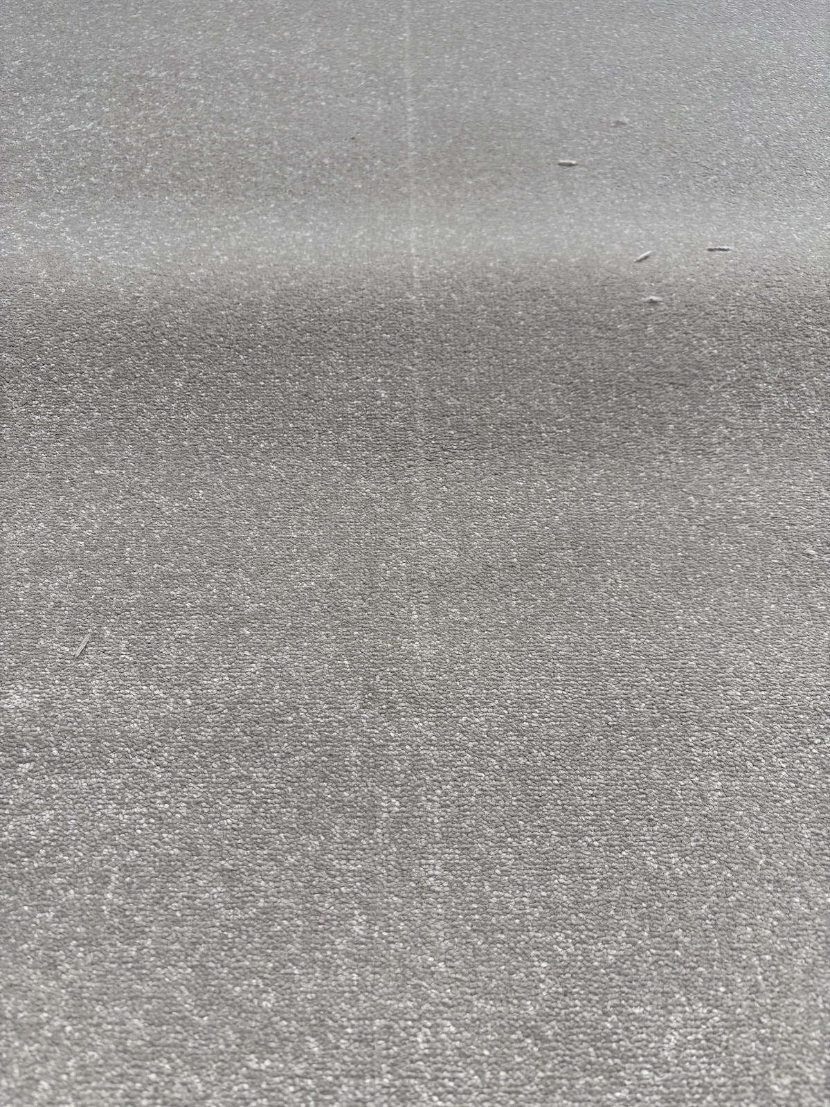 Westex Elysian Velvet Celestial Mink 4m x 5.8m - Image 3