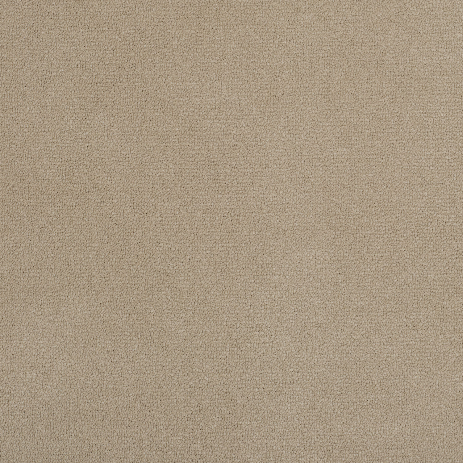 Velvet Impressions Alpaca 4m x 4.3m