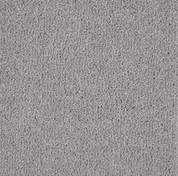Artwork Seabass 5m x 4.9m