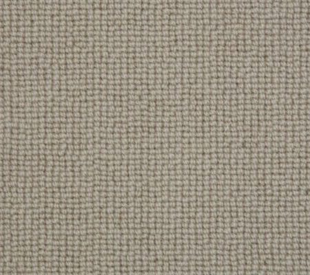 Biscayne Plain Wild Mushroom 4.8m x 4.1m