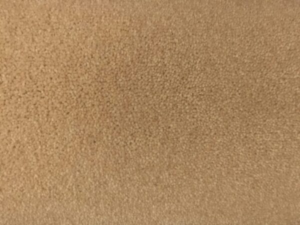 Home Counties 50oz Barrington Beige 4.7m x 3.05m