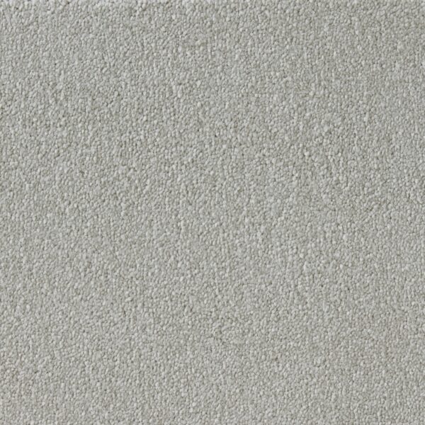 Westex Elysian Velvet Celestial Canvas 4.7m x 2.75m