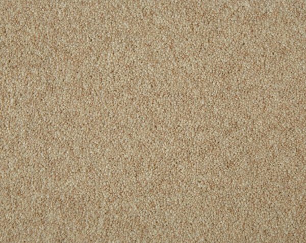 Home Counties Heathers 42oz Periwinkle 5m x 6.9m