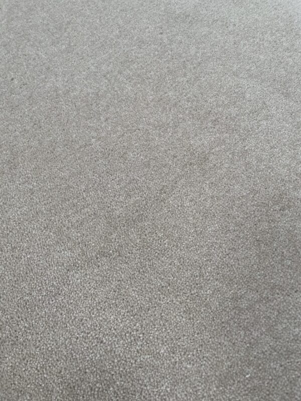 Oaklands 42oz Rice 5m x 4.7m