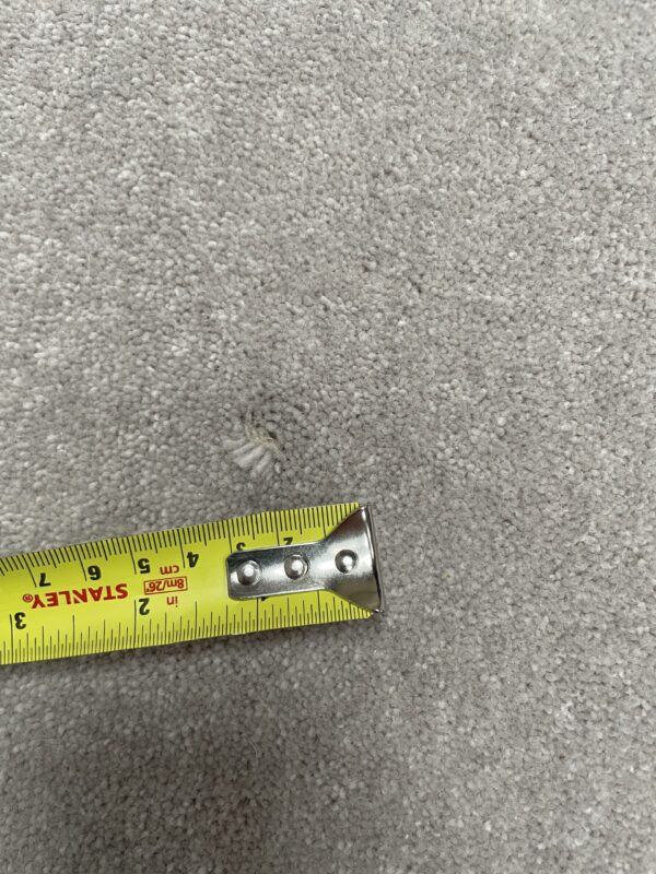 Home Counties 50oz Goosewing 3.75m x 3.4m S.S