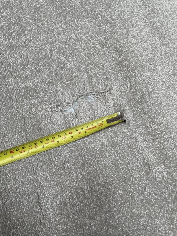 Sensation Feeling Arctic Grey 5m x 3.5m