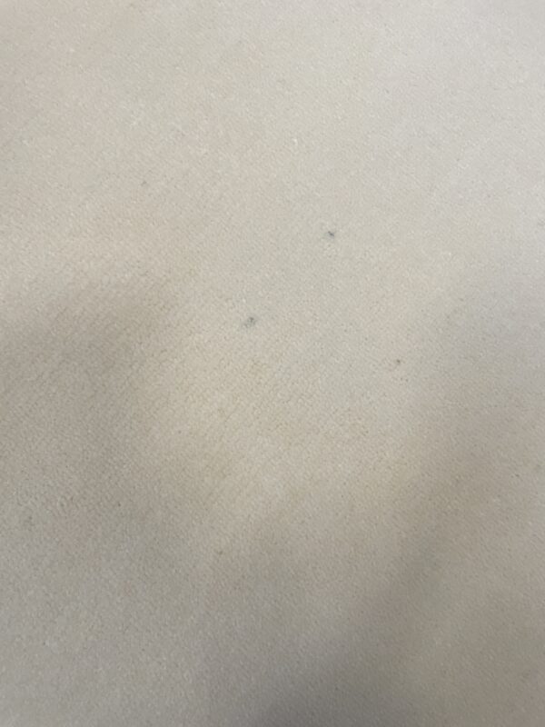 Westex Pure Luxury Velvet Opulence Ermine 5m x 21.5m