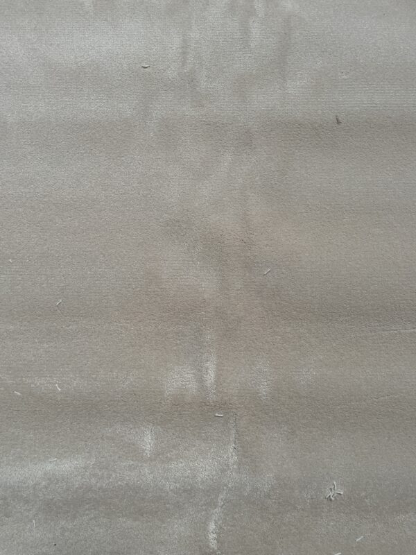 Westex Silken Velvet Debonair Blonde 5m x 4.55m