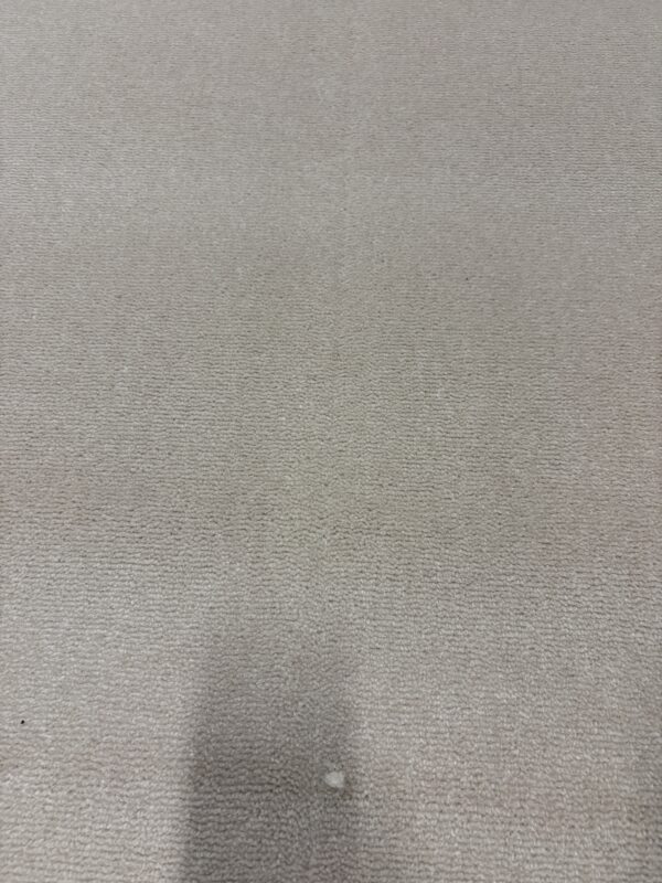 Westex Westend Velvet Marshmallow 5m x 4.75m