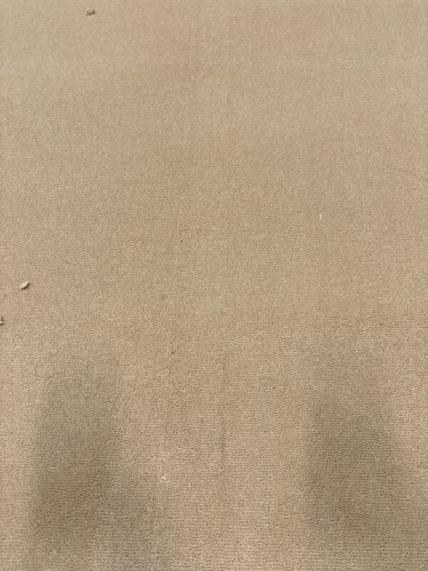 Royal Velvet 50oz Beaumont 5m x 4.85m