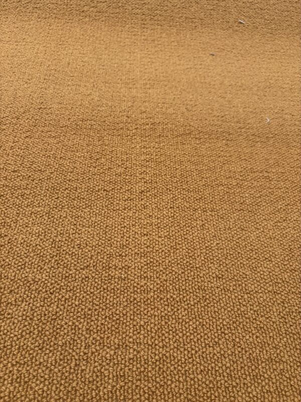 Westex Natural Loop Briar Custom Antique Gold 5m x 14.45m