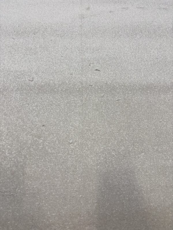 Westex Elysian Velvet Divine Meadow Mist 4.7m x 3.2m
