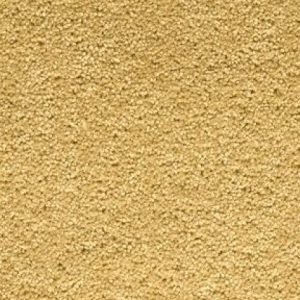 Ryalux William Twist Custard Cream 5m x 4.75m