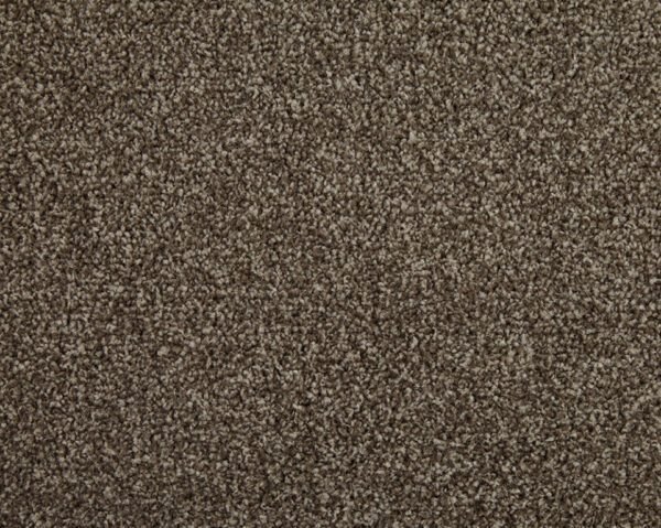 Primo Choice Elite Brazil Nut 4m x 5.1m