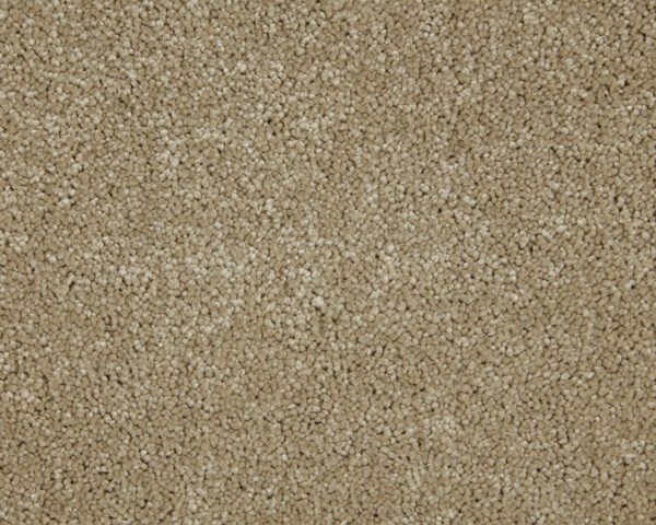 Sensation Twist Dakota Grain 5m x 2m