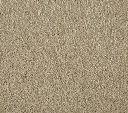 Soft Focus Amaretto 3.95m x 3.85m