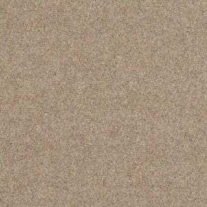 Tudor Twist 42oz Fawn 3.95m x 3.6m