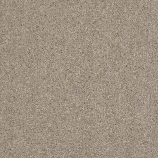 Tudor Twist 60oz Taupe 3.8m x 3m