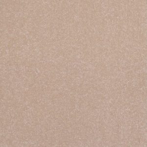 Freedom Tissue 4m x 3.15m