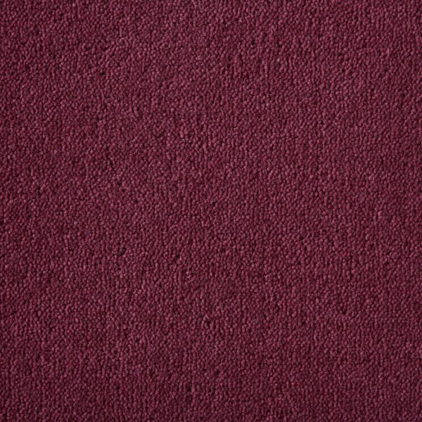 Westex Ultima Twist Penultima Dogwood 5m x 8.2m