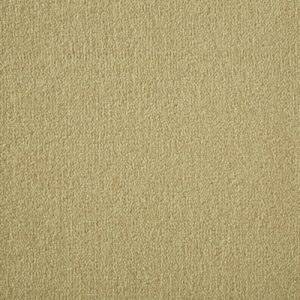 Westex Pure Luxury Velvet Troika Cider 4m x 2m