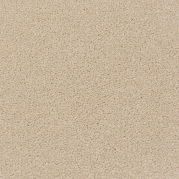 Apollo Plus Cream Silk 5m x 4.8m